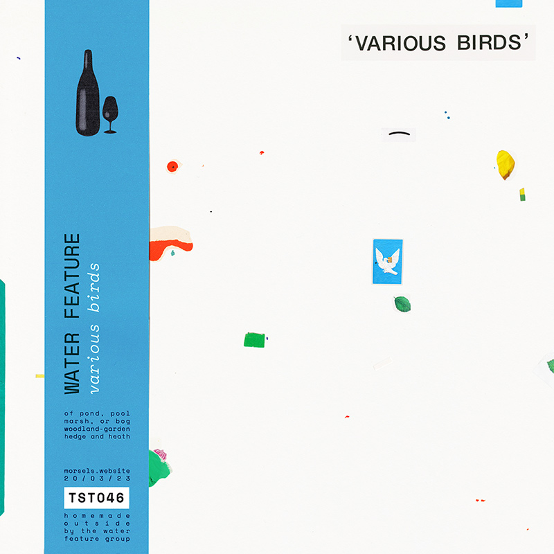 album cover art from 'various birds' by water feature, released on tasty morsels